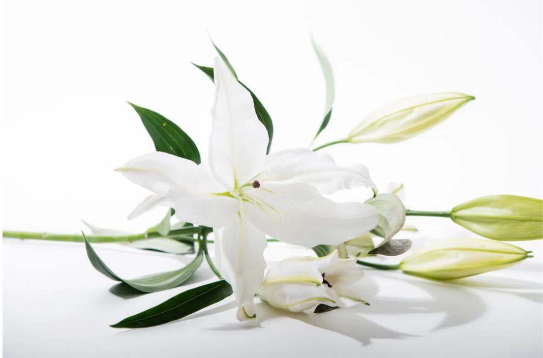 funeral-home